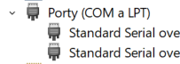 Správce zařízení, větev Porty (COM a LPT) se dvěma položkami Standard Serial over Bluetooth link